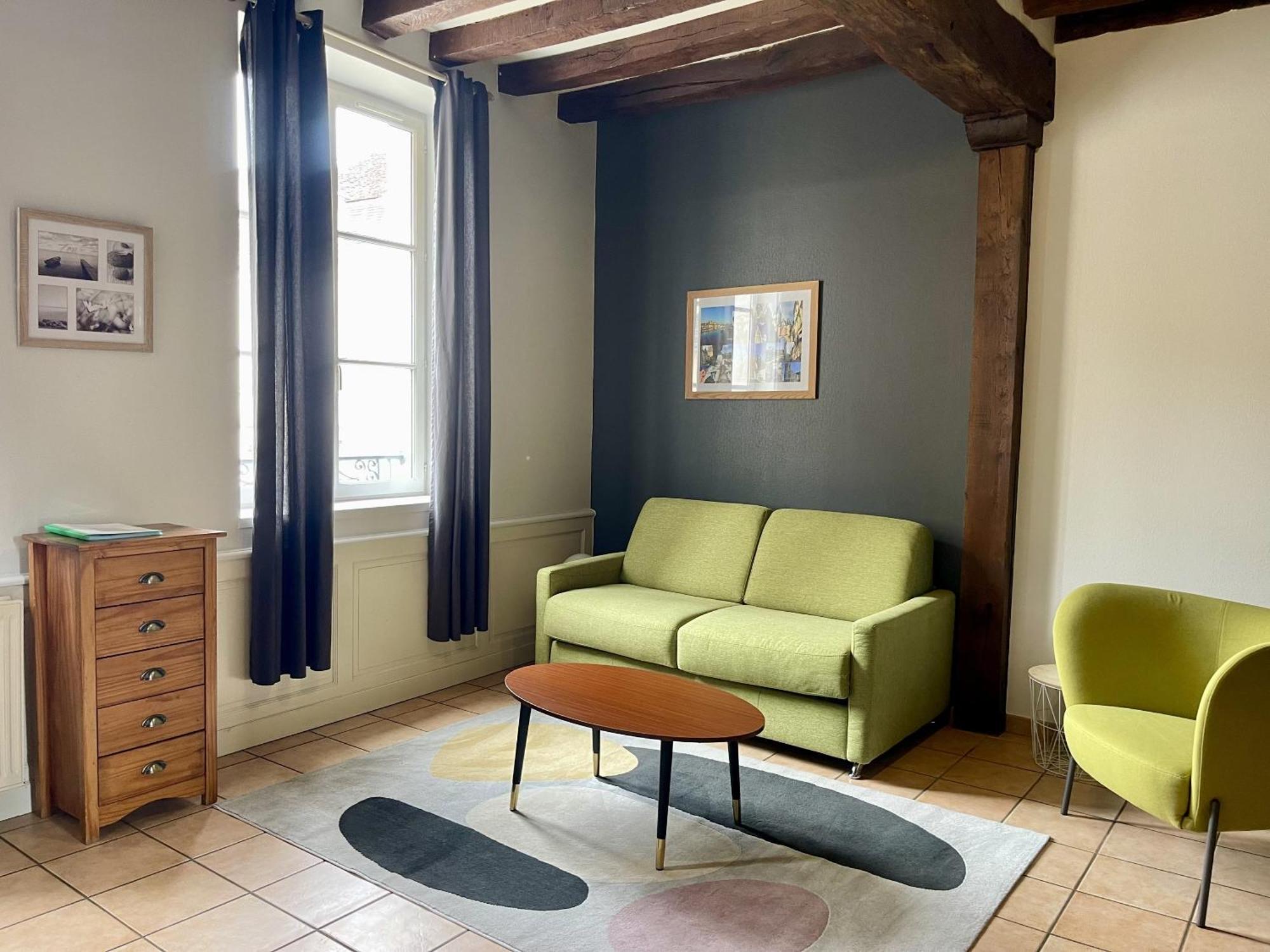 Appartement Le Coche D'Eau Auxerre Les Quais 外观 照片